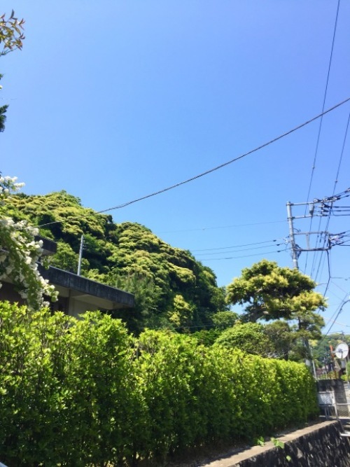 a0135581_20004865.jpg