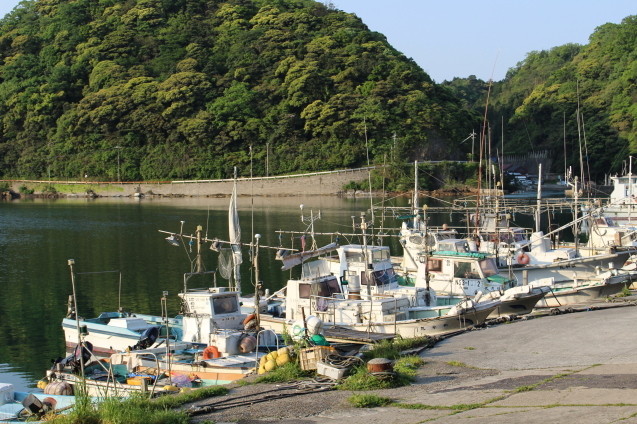 a0155688_21465779.jpg