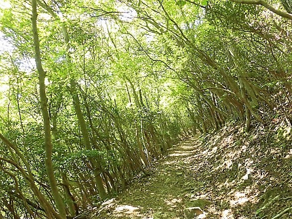 d0125589_06285906.jpg