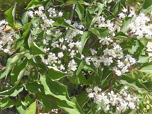 d0125589_06303220.jpg