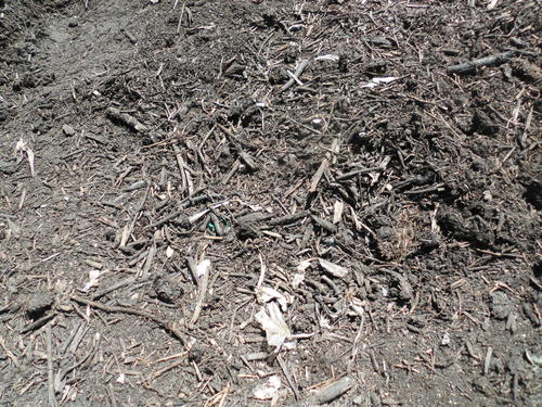 c0108198_1615772.jpg