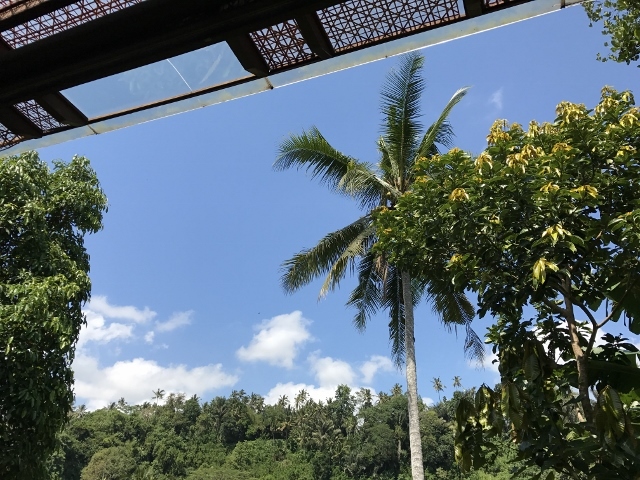 d0337598_15401459.jpg