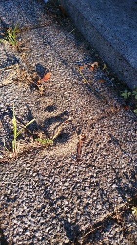 e0351303_14082897.jpg