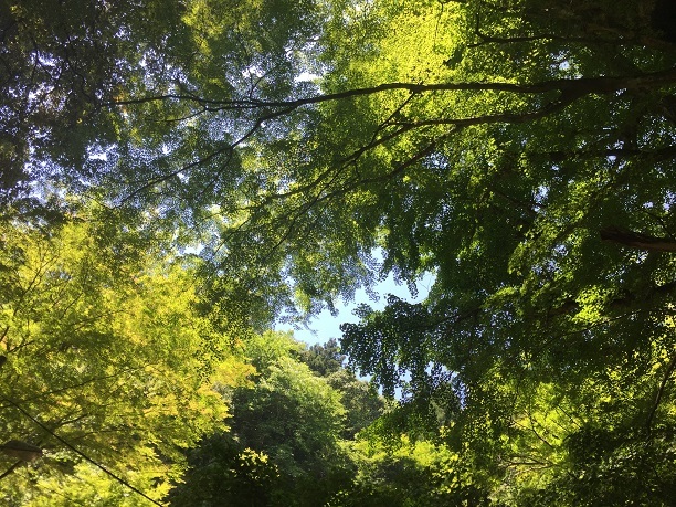 f0364707_20443988.jpg
