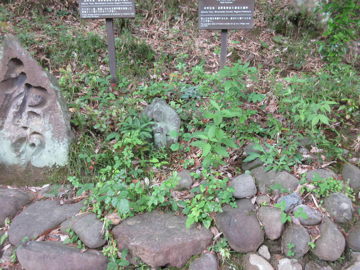 c0085508_534175.jpg