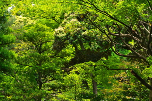 a0263109_09550313.jpg