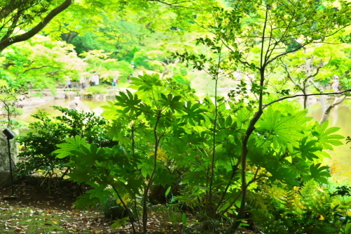 a0263109_09550893.jpg