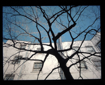 c0195909_15390101.jpg