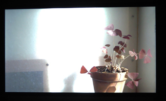 c0195909_15393419.jpg