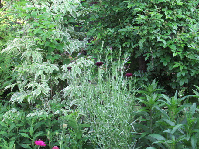 f0297809_19572666.jpg
