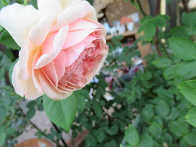 f0297809_20201177.jpg