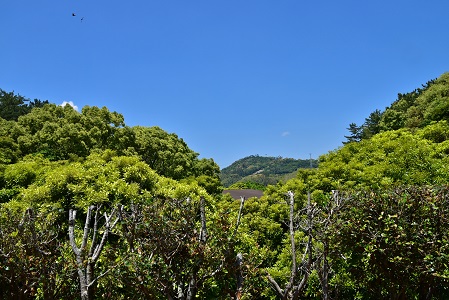 a0151913_0403466.jpg