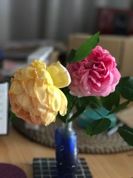 c0156021_16225985.jpg