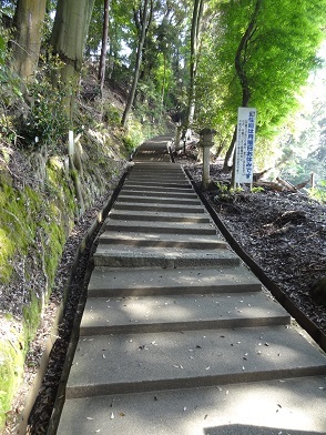 f0000521_05065358.jpg