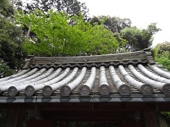 f0000521_05283084.jpg