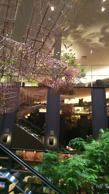 f0106823_17001650.jpg