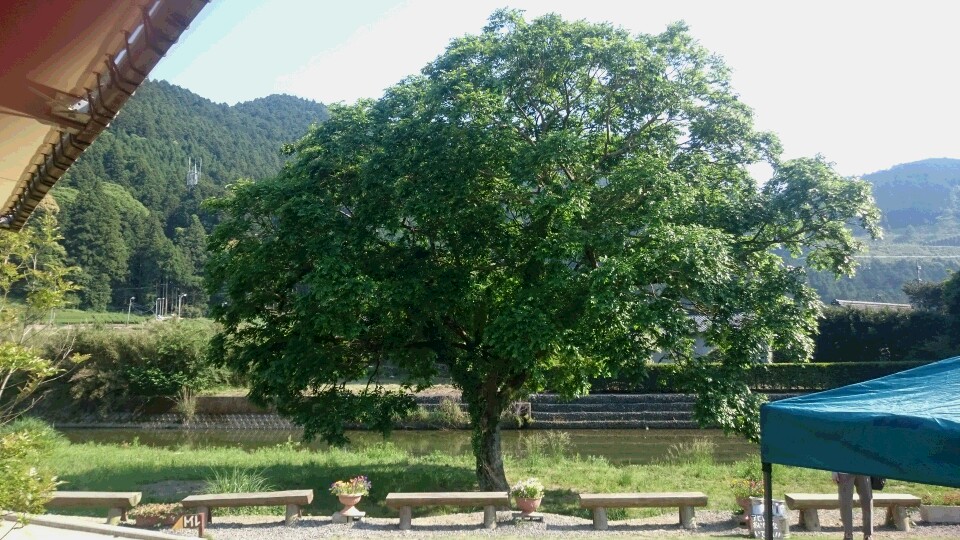 d0084628_2125783.jpg