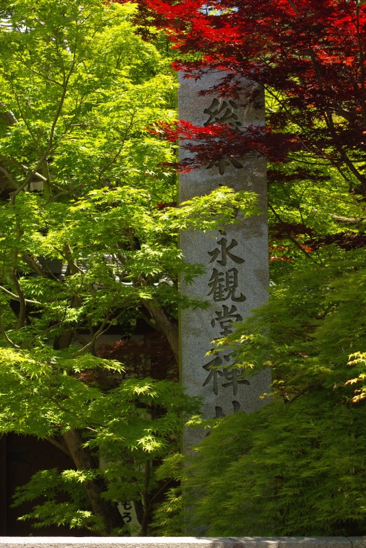 c0223729_10164401.jpg