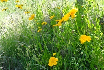 e0358032_09151523.jpg