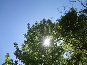 e0358032_09160167.jpg