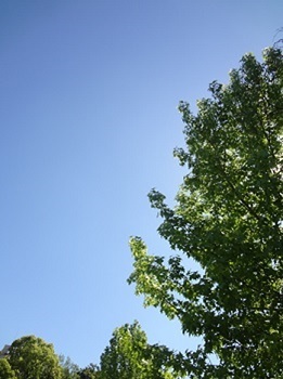 e0358032_09160917.jpg