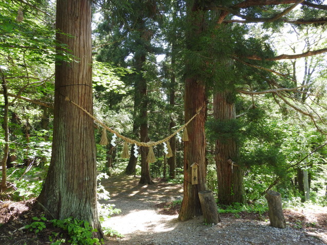 f0118332_23505599.jpg