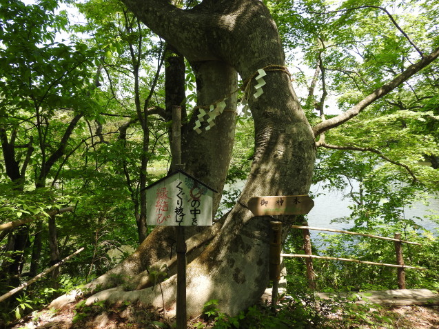 f0118332_23515057.jpg