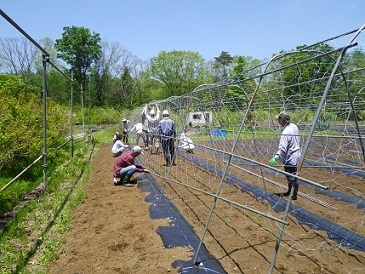 b0312438_16542500.jpg