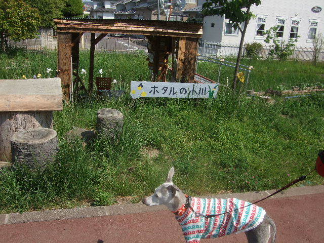 f0363538_20092780.jpg