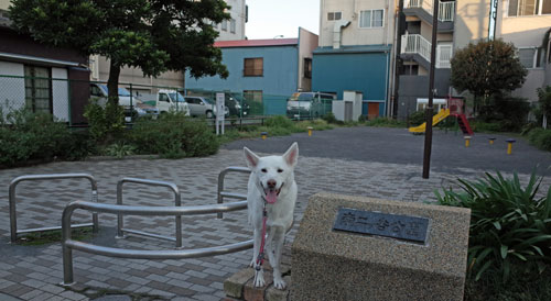 a0117039_1333250.jpg
