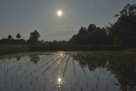 c0314839_14582178.jpg