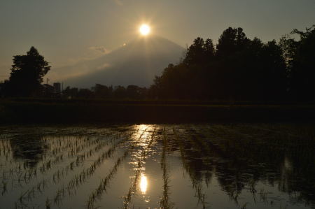 c0314839_15013629.jpg