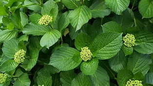 b0080342_17280463.jpg