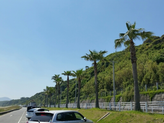 c0295742_12364169.jpg
