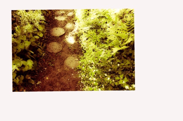 d0101846_05591628.png