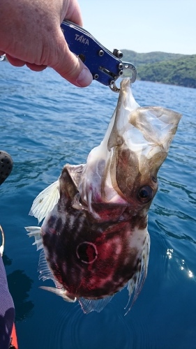 f0351348_14043448.jpg