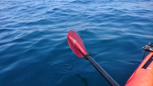 f0351348_14461690.jpg