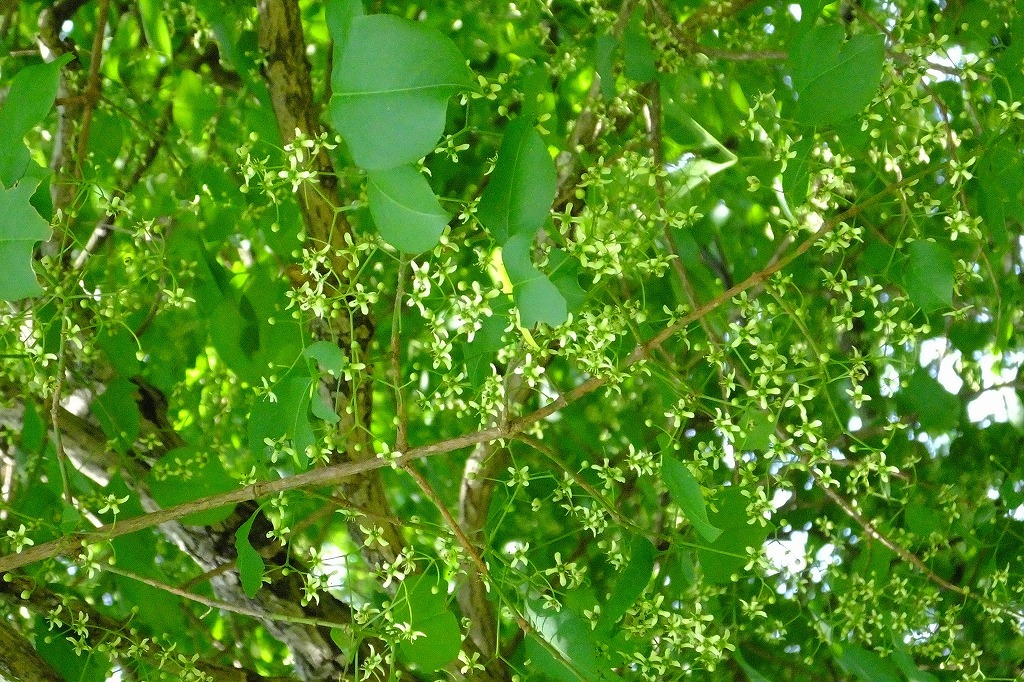 b0236251_17383839.jpg