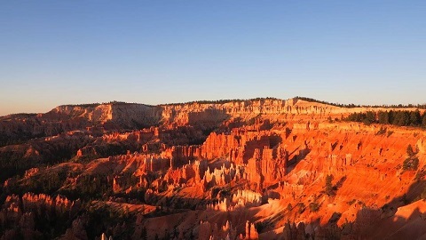 c0355451_15385749.jpg
