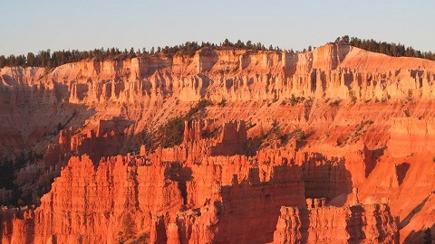 c0355451_15393683.jpg