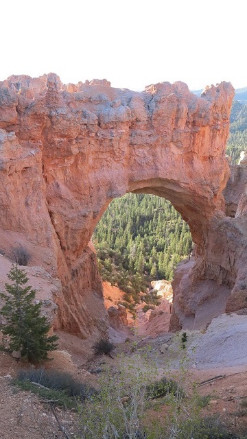 c0355451_15491026.jpg
