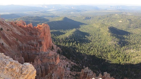 c0355451_15525848.jpg