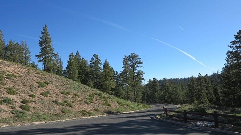 c0355451_15580124.jpg