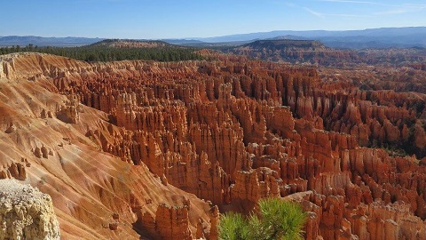 c0355451_16032970.jpg