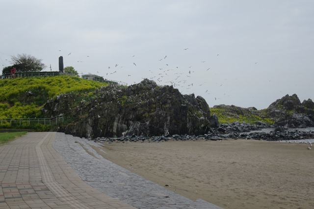 f0202151_17251918.jpg