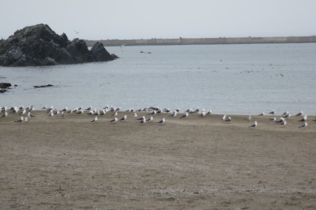 f0202151_17252540.jpg