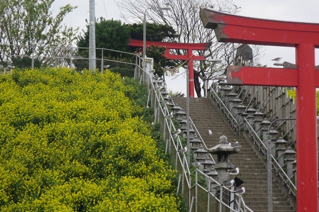 f0202151_17253177.jpg