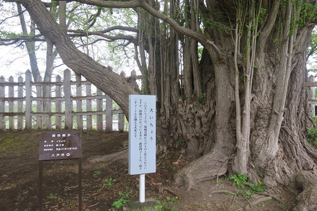 f0202151_17260007.jpg