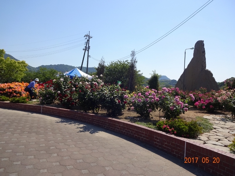 f0377353_21480339.jpg