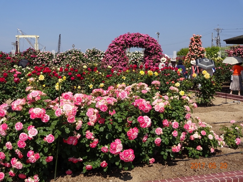 f0377353_21573090.jpg